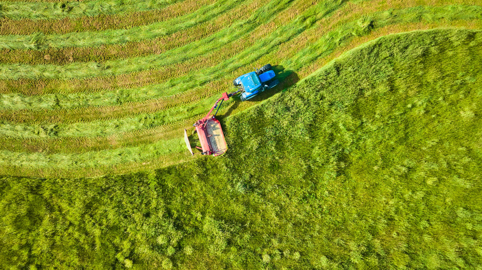 ohio lawn care