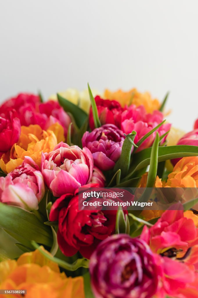 Tulpen, Blumenstrauß