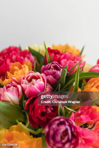 tulpen, blumenstrauß - birthday flower bouquet stock pictures, royalty-free photos & images