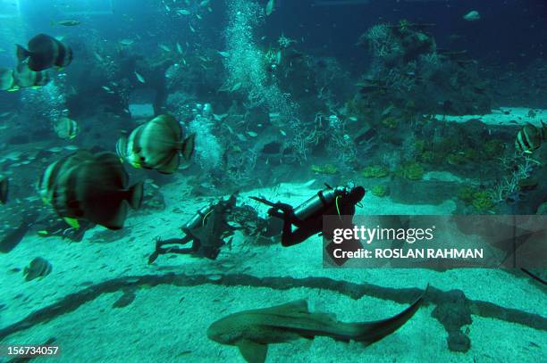 Divers feed fish in the open ocean habitat, seen through the world’s largest viewing panel, at 36 metres wide by 8.3 metres tall of the South East...