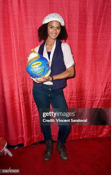 Actress Erika Tascon attends the Jackson Limousine Homeless Turkey Drive Red Carpet Gala at Infusion Lounge on November 19, 2012 in Universal City,...