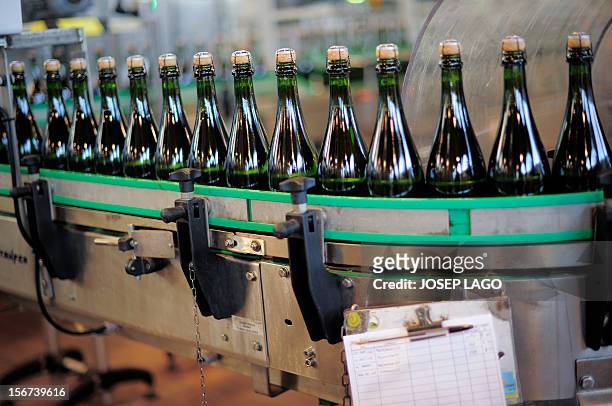 Spain-Catalonia-vote-wine" Cava bottles are pictured on November 8, 2012 at the Segura Viudas Cava vineyard in Sant Sadurni D'anoia, near Barcelona....