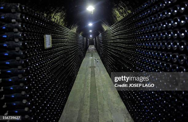 Spain-Catalonia-vote-wine" Cava bottles are pictured on November 8, 2012 at the Segura Viudas Cava vineyard in Sant Sadurni D'anoia, near Barcelona....