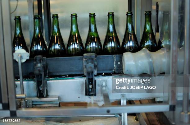 Spain-Catalonia-vote-wine" Cava bottles are pictured on November 8, 2012 at the Segura Viudas Cava vineyard in Sant Sadurni D'anoia, near Barcelona....