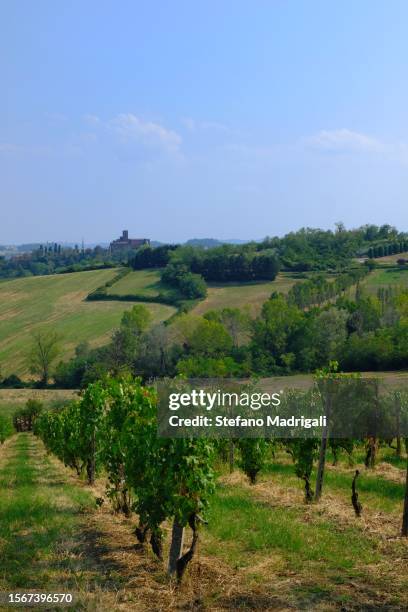 landscape of the langhe with cultivation of vines - luogo d'interesse stock pictures, royalty-free photos & images