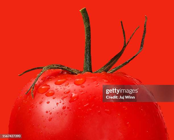 campari tomato closeup - tomate fotografías e imágenes de stock