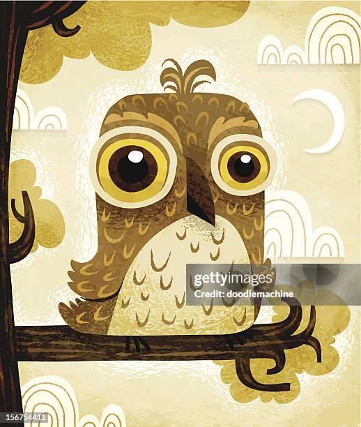 night owl - owl flying stock illustrations
