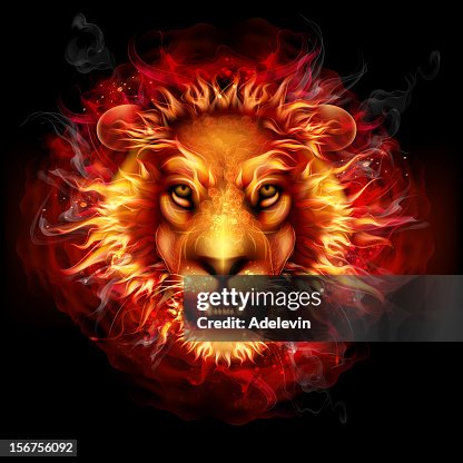 Fire lion Fire lion