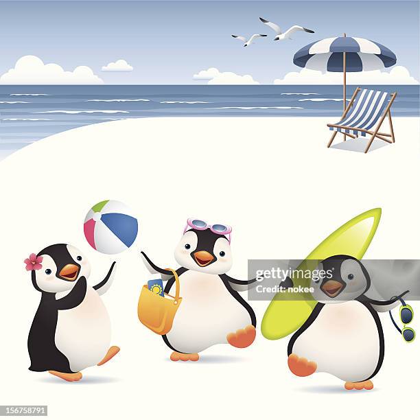 summer penguins - water penguin stock illustrations