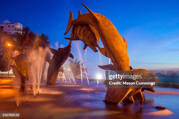 dolphin statue - mazatlan mexico stock pictures, royalty-free photos & images