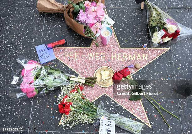Flowers Placed On The Walk of Fame Star of Paul Reubens aka Pee Wee-Herman on July 31, 2023 in Hollywood, California