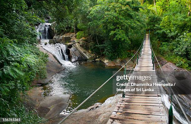 bambarakiri ella (falls), rattota - touwbrug stockfoto's en -beelden