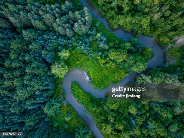 humber river trail e sarenhes bridge al crepuscolo nel boyd conservation park woodbridge, vaughan, canada - veduta aerea foto e immagini stock