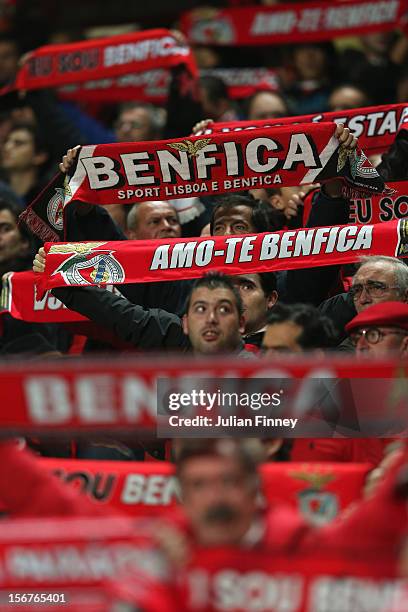 Benfica fans show their support before the UEFA Champions League, Group G match between SL Benfica and Celtic FC at Estadio da Luz on November 20,...