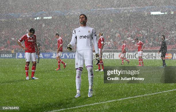 Artur of Benfica looks on in the pouring rain during the UEFA Champions League, Group G match between SL Benfica and Celtic FC at Estadio da Luz on...
