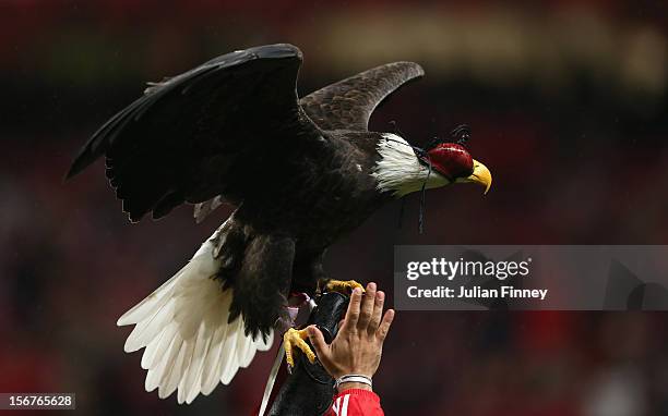 The Eagle of Benfica is seen before the UEFA Champions League, Group G match between SL Benfica and Celtic FC at Estadio da Luz on November 20, 2012...