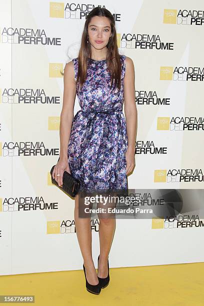 Ana Rujas attends Academia del perfume awards photocall at Casa de America on November 20, 2012 in Madrid, Spain.