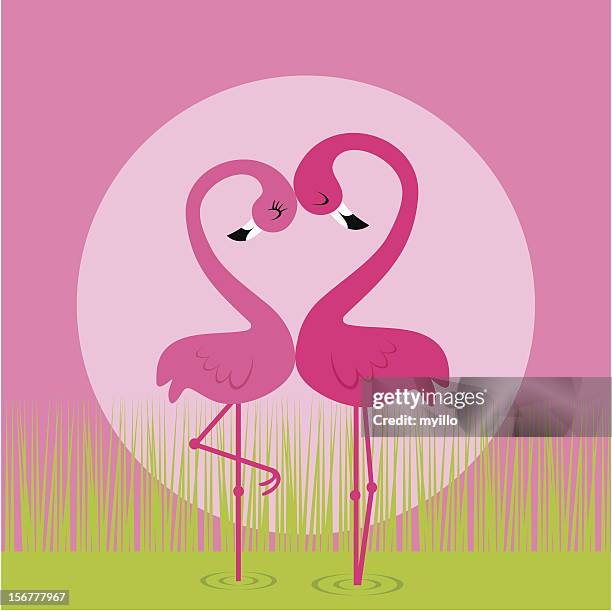 flamingo love - animals kissing stock illustrations