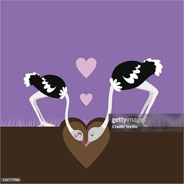 ostrich love - ostrich stock illustrations
