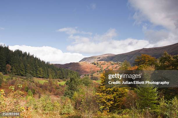 High Rigg Farm High Rigg Photos and Premium High Res Pictures - Getty Images