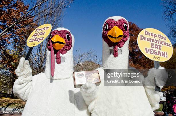 Members of PETA promote a meat free holiday season at the White House on November 21, 2012 in Washington, DC.