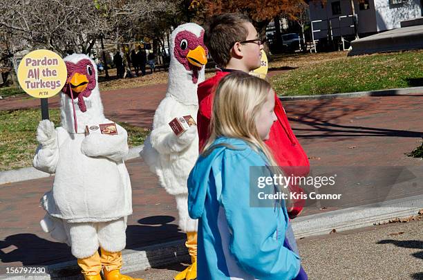 Members of PETA promote a meat free holiday season at the White House on November 21, 2012 in Washington, DC.