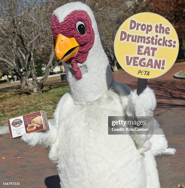 Members of PETA promote a meat free holiday season at the White House on November 21, 2012 in Washington, DC.