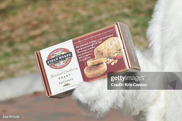 Members of PETA promote a meat free holiday season at the White House on November 21, 2012 in Washington, DC.