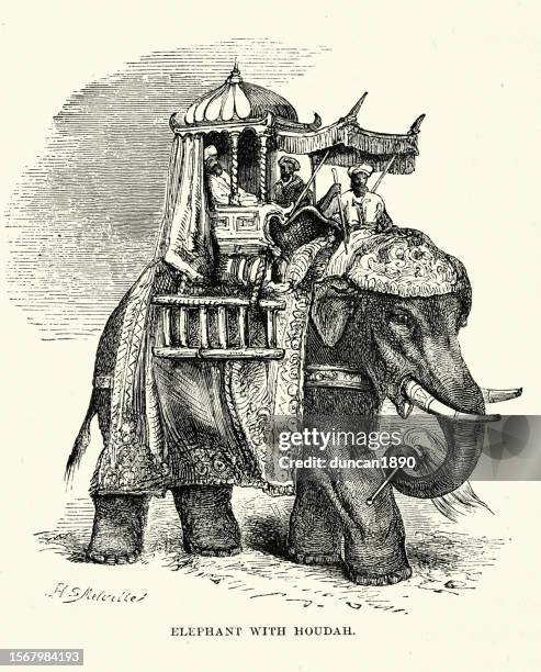 illustrazioni stock, clip art, cartoni animati e icone di tendenza di persone che cavalcano sul dorso di un elefante in una howdah, o houdah, 1860 vittoriano - howdah