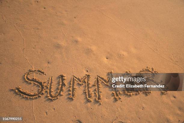 summer word written on beach background.  summer holidays and beach vacation concept. - beach flat lay stock pictures, royalty-free photos & images