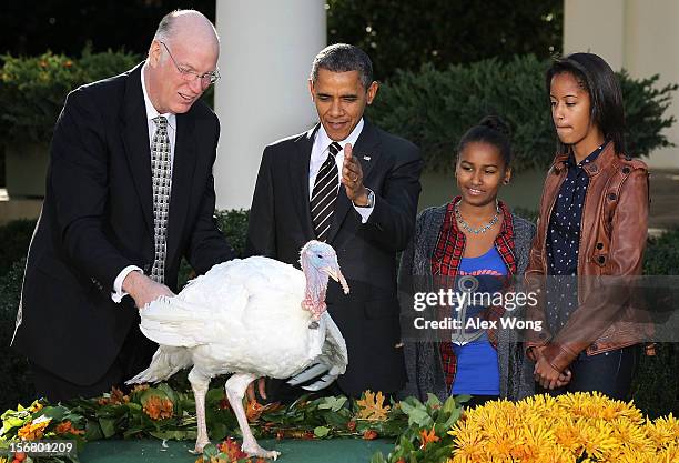 President Barack Obama pardons the 2012 National Thanksgiving Turkey Cobbler as daughters Sasha Obama and Malia Obama , and National Turkey...