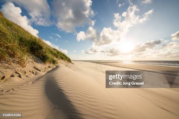 nordstrand (north beach) at sunset - norderney stock pictures, royalty-free photos & images