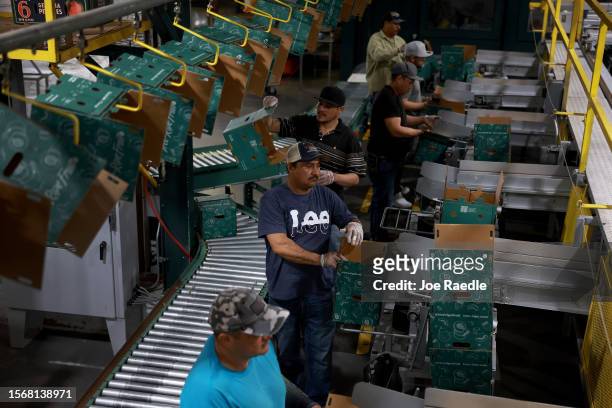Workers box peaches at the packing house after they were harvested from the trees at Pearson Farm on July 24, 2023 in Fort Valley, Georgia. Due to...