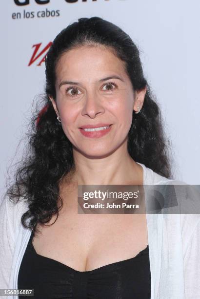 Arcelia Ramirez arrives to the Closing Night Gala for the Baja International Film Festival at Los Cabos Convention Center on November 17, 2012 in...