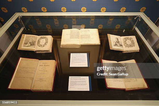 First and second-edition books of Grimms' Fairy Tales lie in a display at the Grimm Brothers Museum on November 20, 2012 in Kassel, Germany.The 200th...