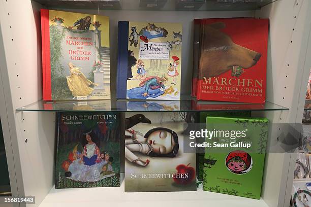 Books of Grimms' fairy tales stand on display for sale at the Grimm Brothers Museum on November 20, 2012 in Kassel, Germany.The 200th anniversary of...