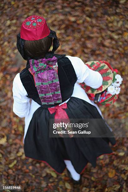 Little Red Riding Hood , actually actress Dorothee Weppler, wears the local Schwalm region folk dress with its red cap as she walks through a forest...