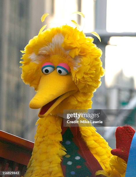 Big Bird of Sesame Street attends the 86th Annual Macy's Thanksgiving Day Parade on November 22, 2012 in New York City.