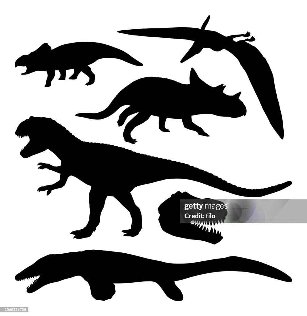 Dinosaur Silhouettes