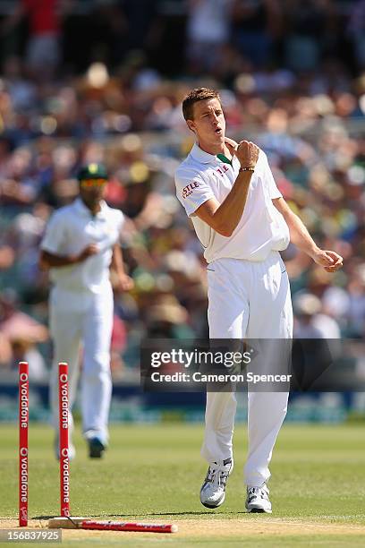 Morne Morkel of South Africa celebrates taking the wicket of Australian captain Michael Clarke during day two of the Second Test match between...