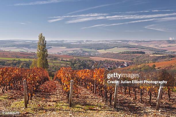 the village of irancy nestled amongst vineyards. - irancy stock pictures, royalty-free photos & images