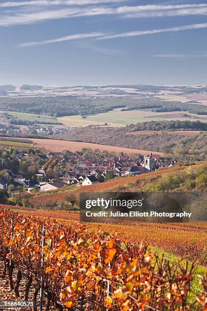 the village of irancy nestled amongst vineyards. - irancy photos et images de collection