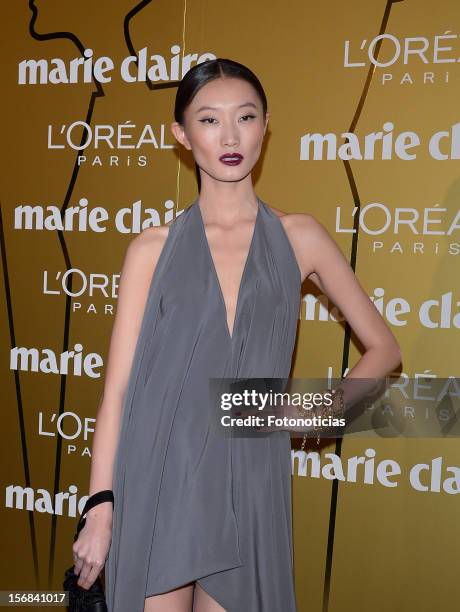 Carmen Xu attends 'Marie Claire Prix de la Mode 2012' ceremony at the French Ambassadors Residence on November 22, 2012 in Madrid, Spain.