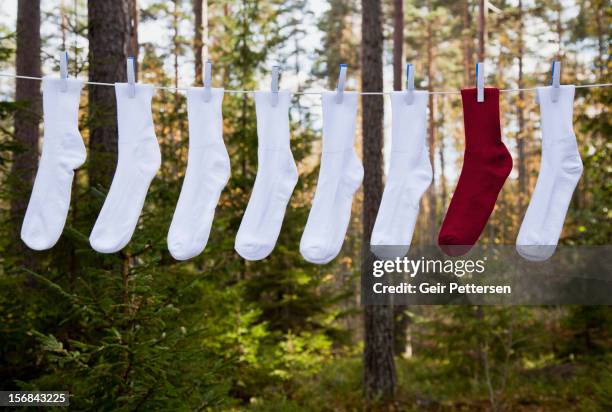 washing line with row of socks - sock stock pictures, royalty-free photos & images