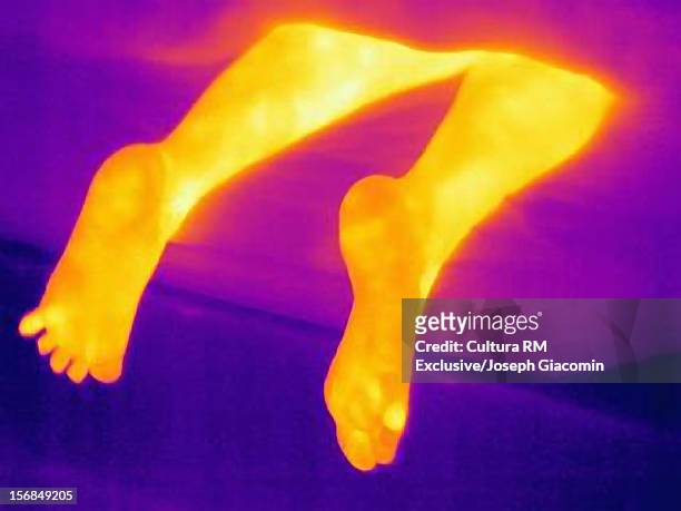 thermal image of feet in bed - woman lying on stomach with feet up stock pictures, royalty-free photos & images