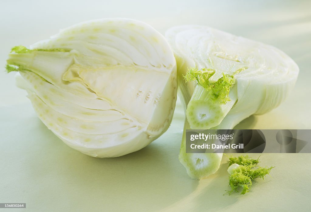 Studio Shot of fennel