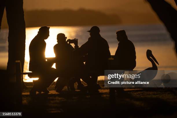 August 2023, Australia, The Entrance: People sitting next to a pelican at dusk at Tuggerah Lake. Photo: Sebastian Gollnow/dpa