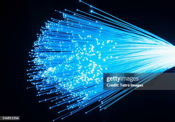 fiber optic glowing, studio shot - fibra - fotografias e filmes do acervo