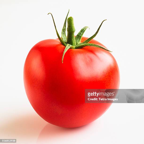 tomato on white background, studio shot - tomatoes ストックフォトと画像