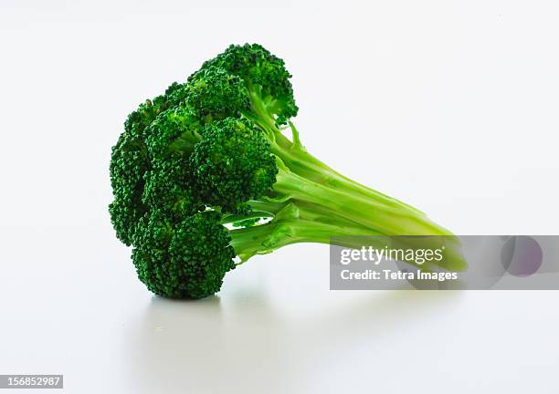 broccoli on white background, studio shot - broccoli on white stockfoto's en -beelden